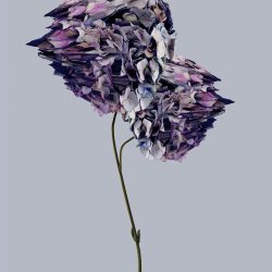 PRIX_SWISS_LIFE_2022_001-scaled