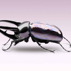 PRIX_SWISS_LIFE_2022_003-scaled