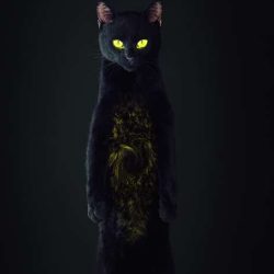 PrixSwissLife_2022_010