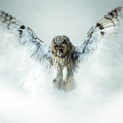 PrixSwissLife_2022_012