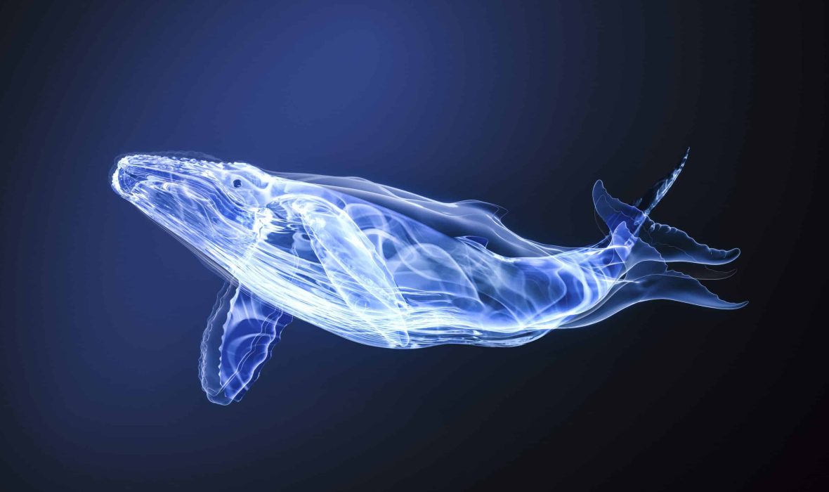 PrixSwissLife_2022_baleine