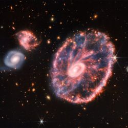 james-webb-cartwheel-galaxy-800x737
