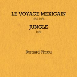 Bernard_Plossu_Contrejour_LVM+Jungle_