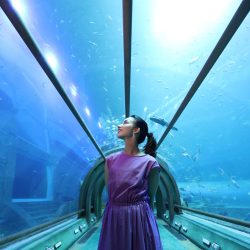 RF-S 10-18mm F4,5-6,3 IS STM-Sample-IMG_1703