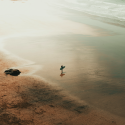 Capture d’écran 2024-01-24 à 14.13.09