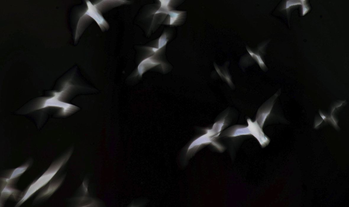 Capture d’écran 2024-01-24 à 14.13.20