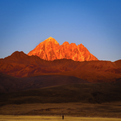 Capture d’écran 2024-01-24 à 14.13.49