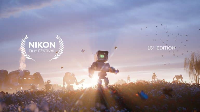 NFF16 4K SUNSET_light