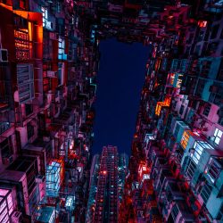 _DSC3528-Avec accentuation-Bruit