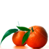 Illustration du profil de Tangerine