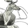 Illustration du profil de Thibaud_gayral