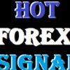 Illustration du profil de Hotforexsignal