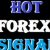 Illustration du profil de hotforexsignal