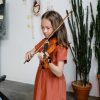 Illustration du profil de Stradivaristrings