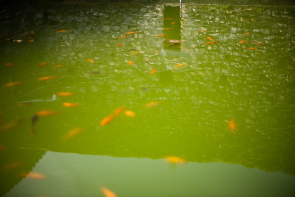 l’onde rouge du bassin