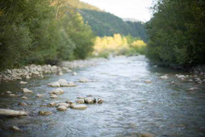 printemps de la Roanne