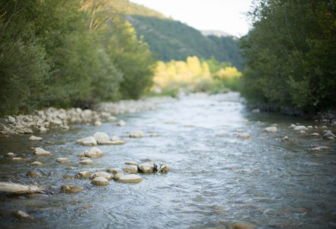 printemps de la Roanne