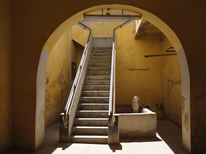 saint louis du senegal