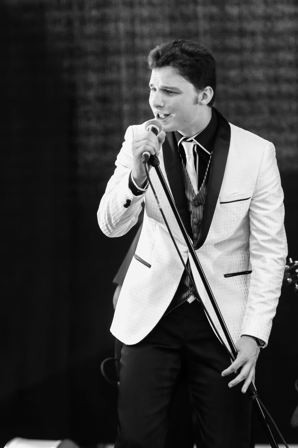 le chanteur des vinyls