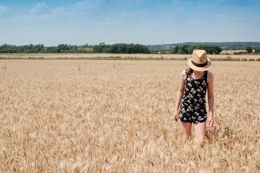 Au blé des champs