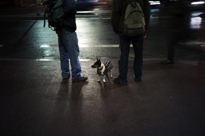 Elliott Erwitt's touch