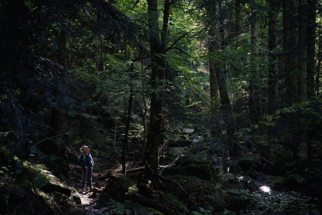 Il était une fée…