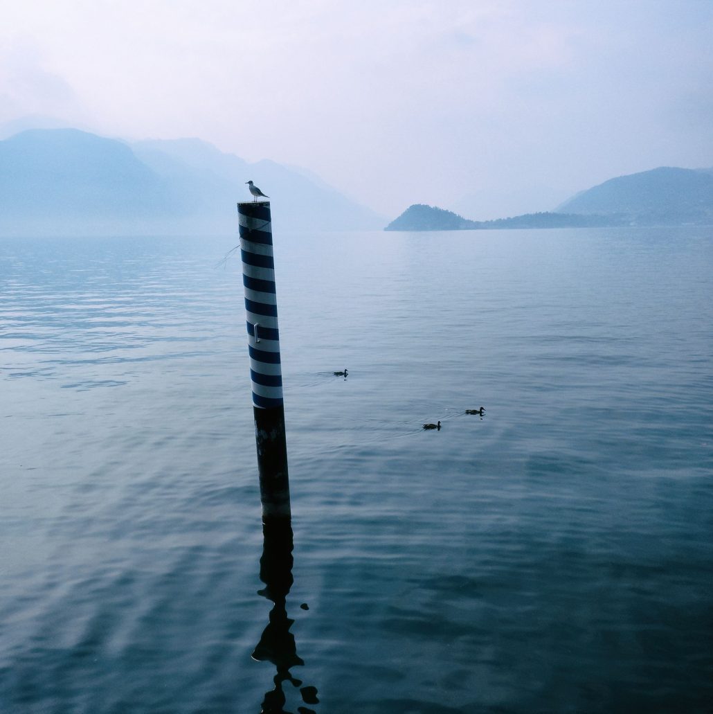 au-dessus de la mêlée