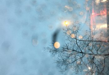 Moon on tree