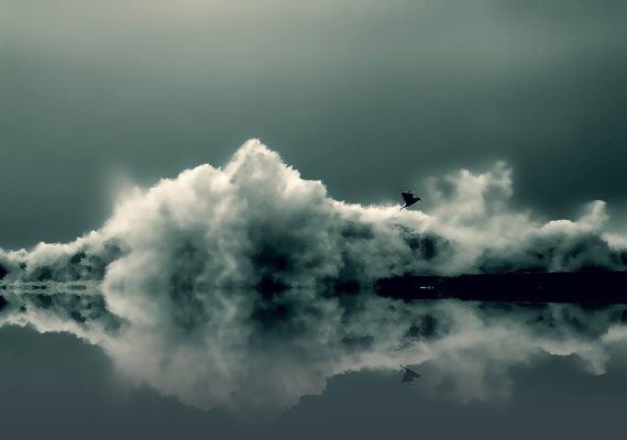 La Vague et l'Oiseau