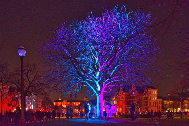 Festival Bright  à Buxelles