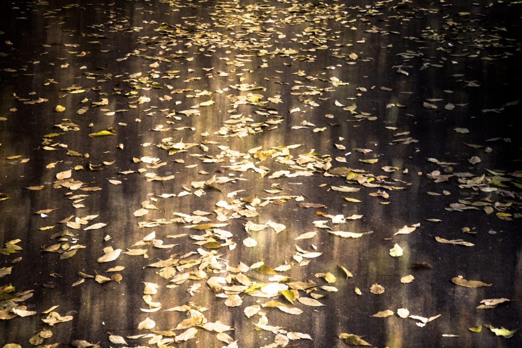 De feuille et d’or