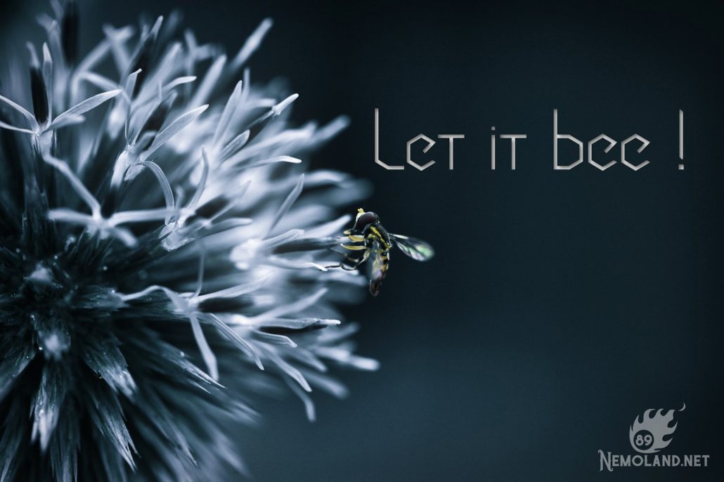 Let it bee !