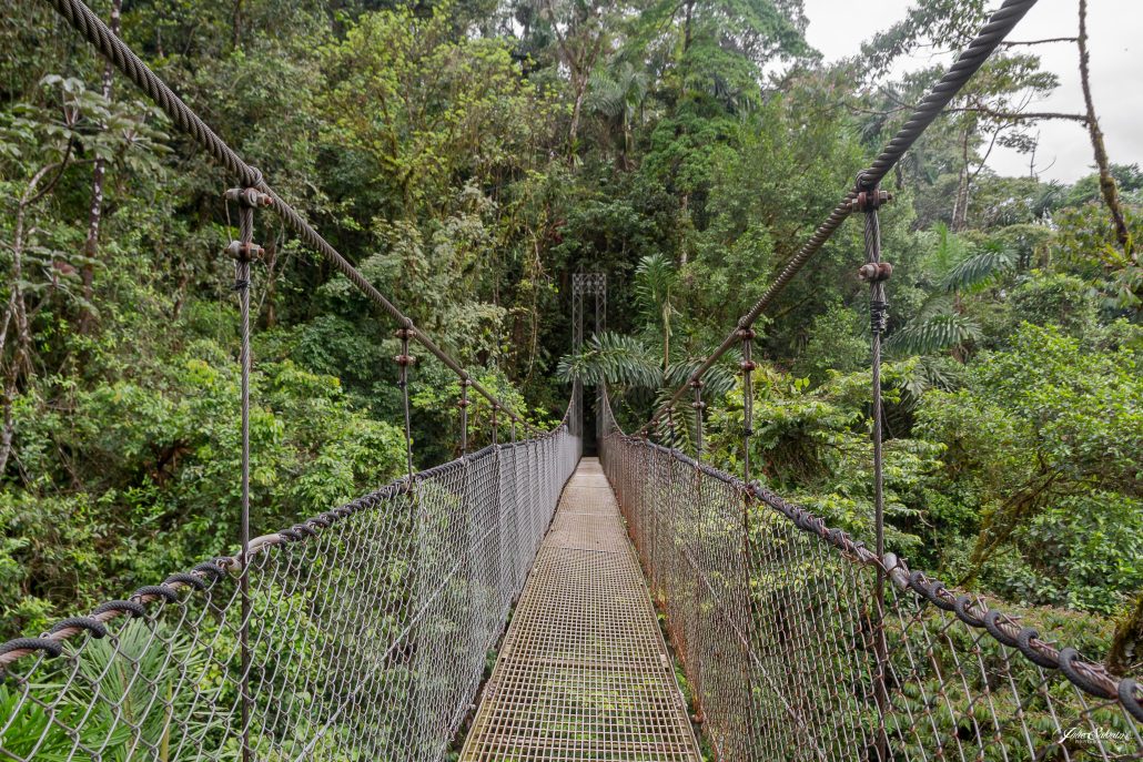 Pont suspendu (Costa Rica)