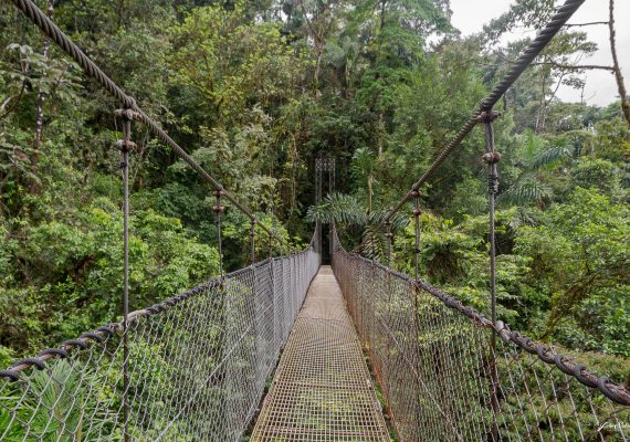 Pont suspendu (Costa Rica)