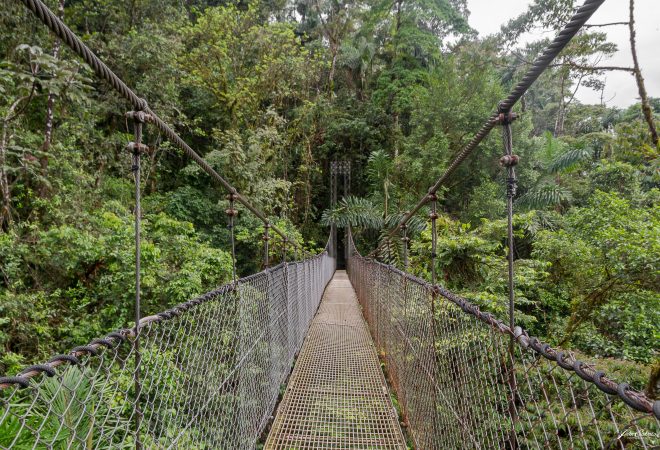 Pont suspendu (Costa Rica)
