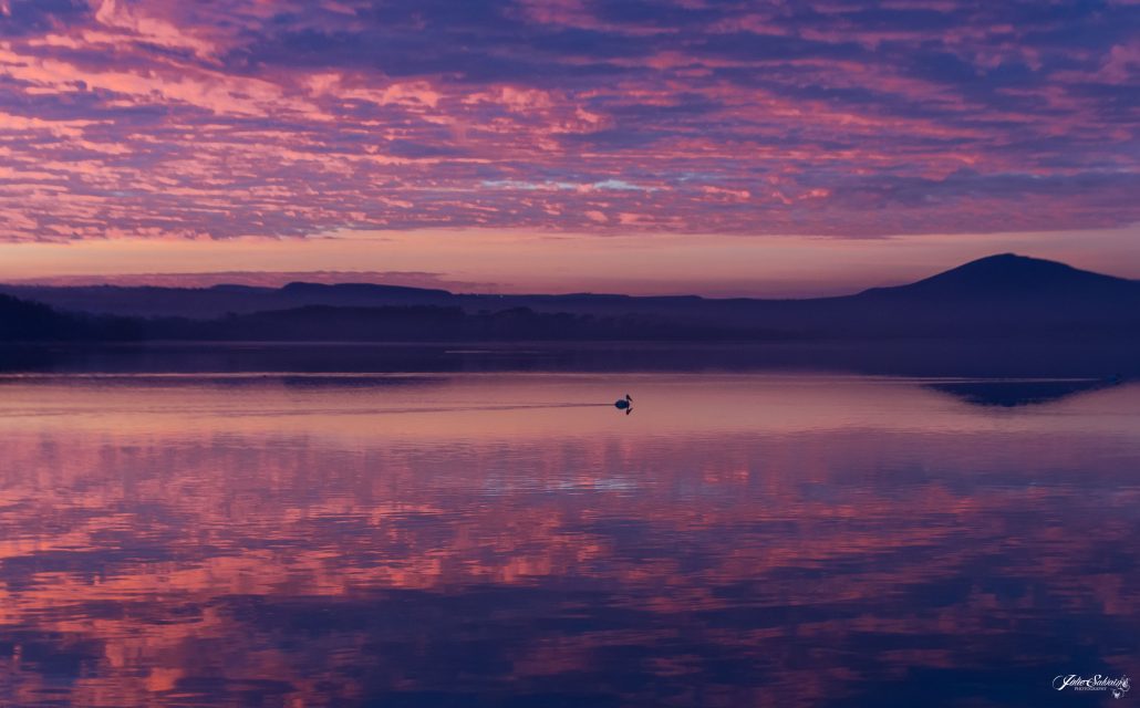 Lac au petit matin (Kenya)