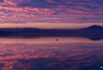 Lac au petit matin (Kenya)