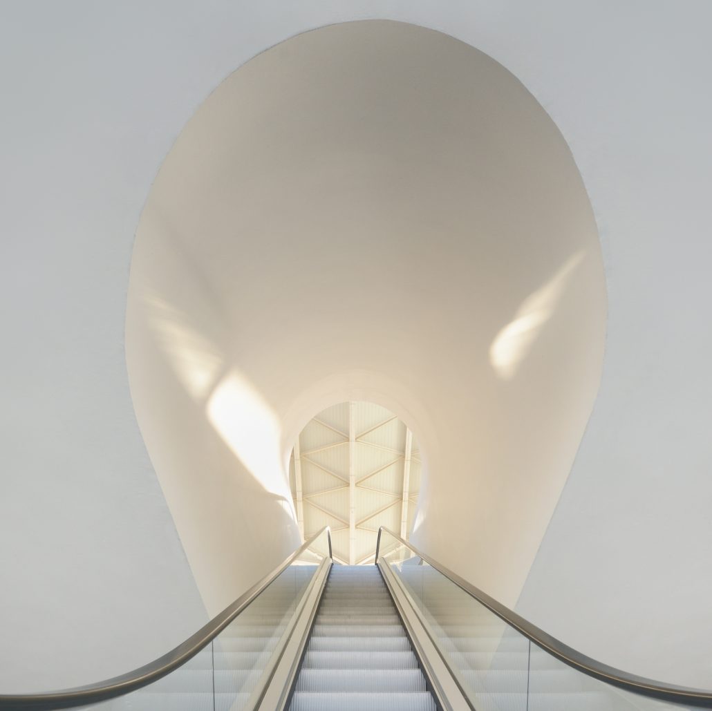 The Way to the light