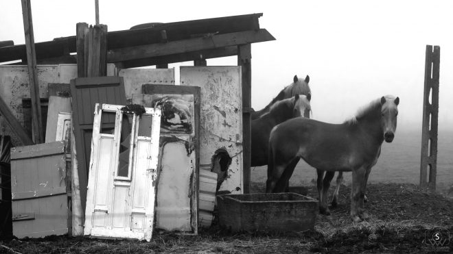 les portes de l'écurie