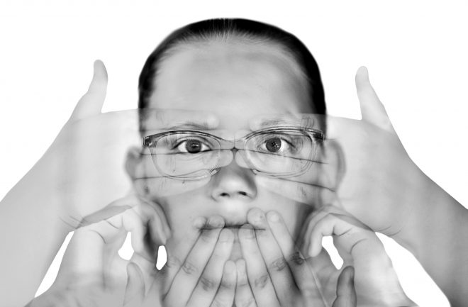 Les singes de la sagesse