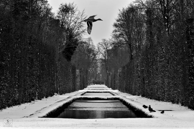 Allée des miroirs enneigée