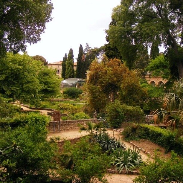Le Jardin des plantes à Montpellier 2