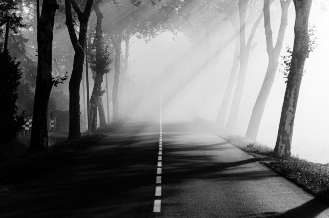 Le chemin se construit en marchant #16