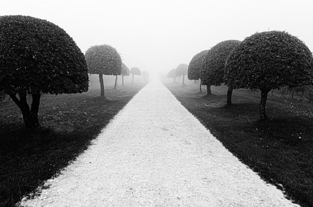 Le chemin se construit en marchant #17