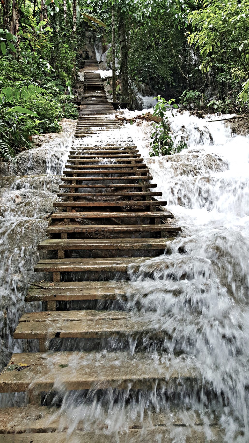 Laos, les chutes de Kuang Si