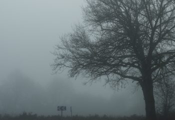 Misty dawn