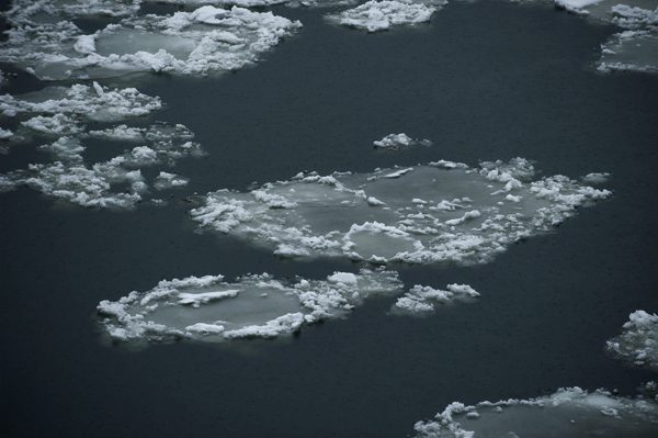 Ice on Danube