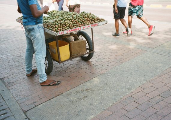 Los caminos de la vida