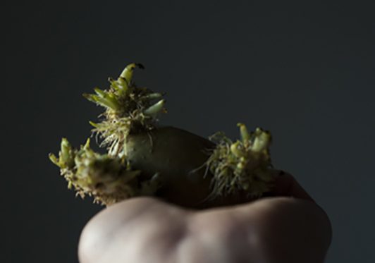 la surface du silence