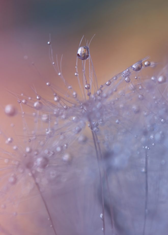 Reflet d'une goûte d eau.